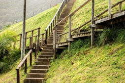 Path