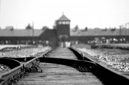 Track