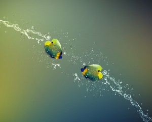 Market trends or economic data – what do I listen to?