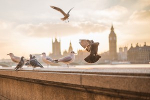 How the Autumn Statement impacts savers