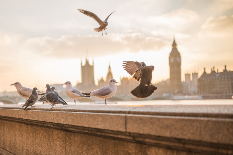 How the Autumn Statement impacts savers