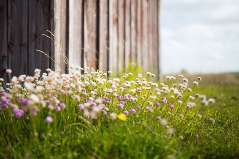 A good reason to invest your ISA allowance