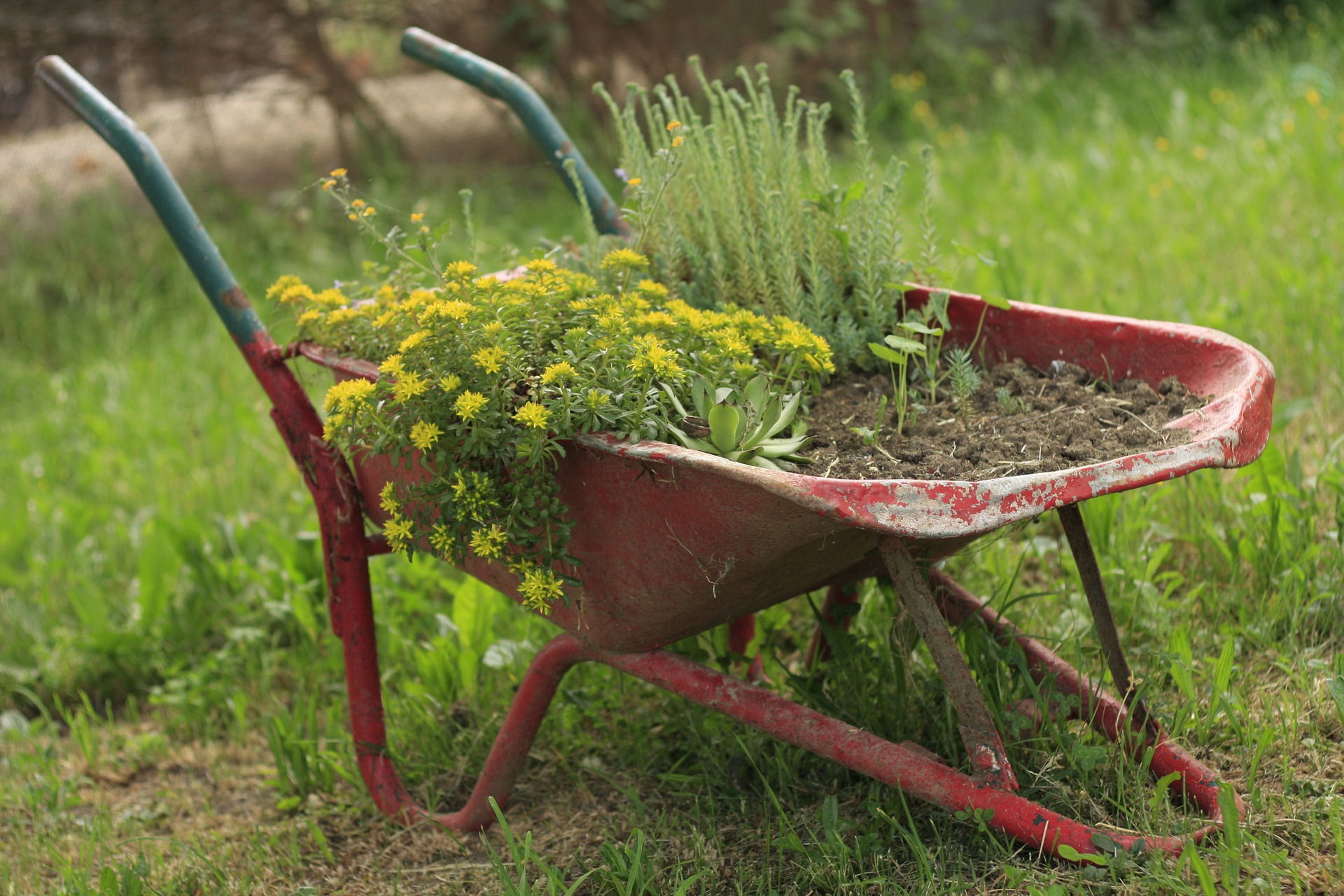 Wheel barrow