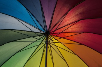 Umbrella
