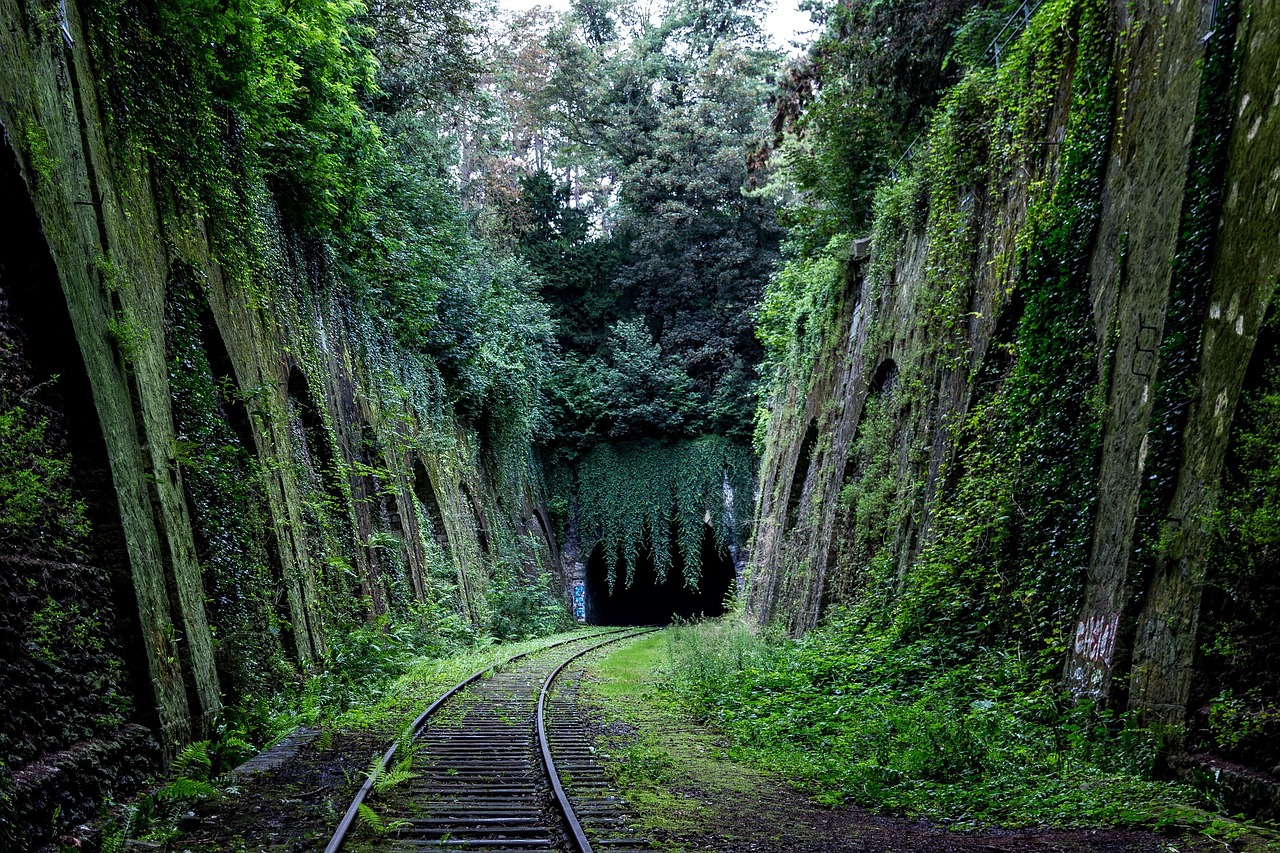 Track