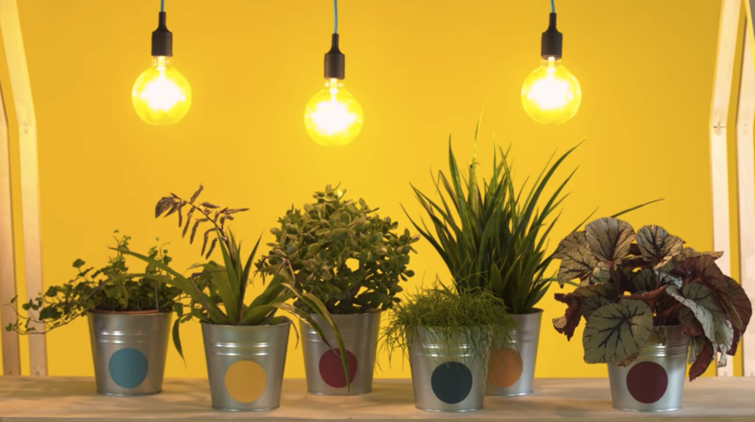 Garden of investing