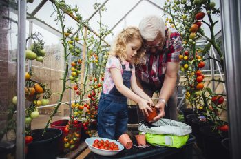 pension, retirement, saving, family