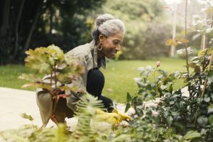 Should I invest in a buy-to-let property or a personal pension?