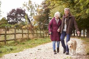 Don’t lose your pension allowance