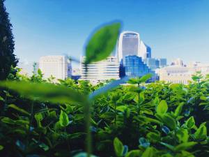 What is ESG? Understanding ESG Investing and its Profitability