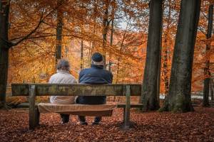 State pension forecast UK: what is it and how to check it