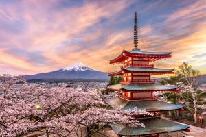 Japan deep-dive: the BoJ, yield curve and impacts