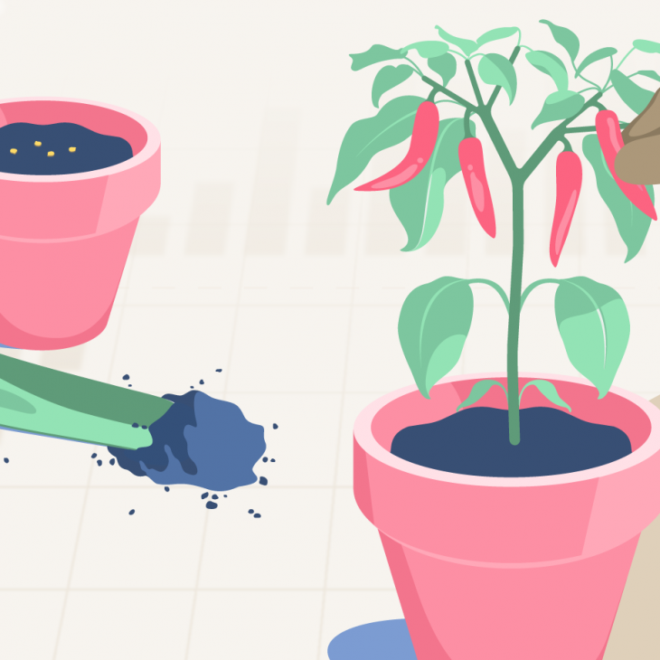 etf-monetari-quali-sono-i-migliori-nel-2026-moneyfarm